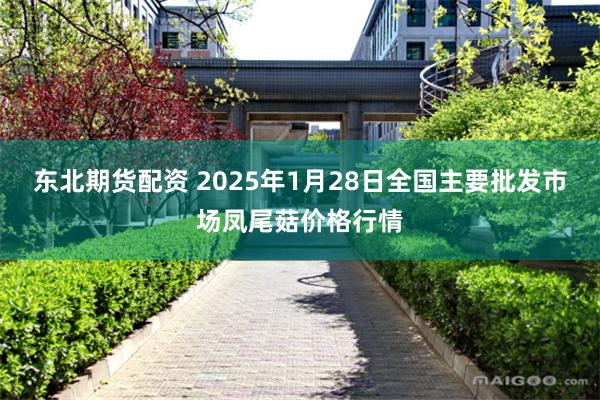东北期货配资 2025年1月28日全国主要批发市场凤尾菇价格行情