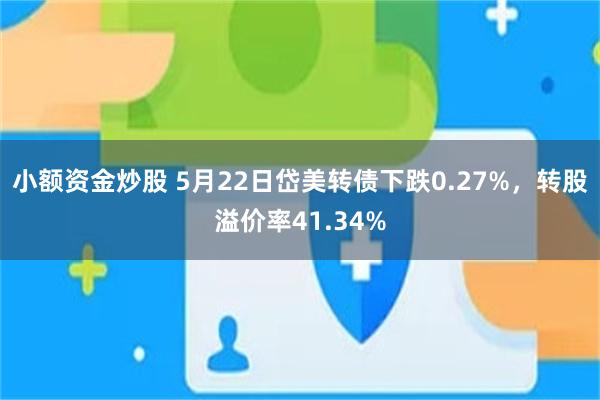 小额资金炒股 5月22日岱美转债下跌0.27%，转股溢价率41.34%